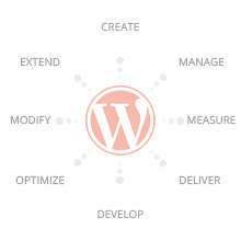Aplicatii si site-uri web personalizate - programare WordPress, Design19
